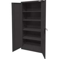 Storage Cabinet, Steel, 4 Shelves, 66" H x 30" W x 15" D, Black Planification Entrepots Molloy