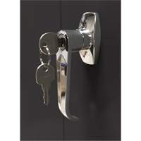 Armoire d'entreposage, Acier, 4 Tablettes, 78" h x 36" la x 24" P, Noir Planification Entrepots Molloy