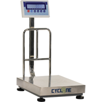 Balance &agrave; plateforme et d'&eacute;tabli Cyclone 150, Capacit&eacute; de 300 lb / 150 kg, 15-3/4" lo x 19-7/10" la Planification Entrepots Molloy