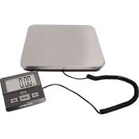 Balance de r&eacute;ception num&eacute;rique, Capacit&eacute; 220 lb, Graduations 1 lb Planification Entrepots Molloy