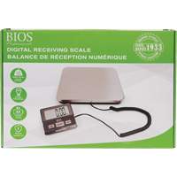 Balance de r&eacute;ception num&eacute;rique, Capacit&eacute; 220 lb, Graduations 1 lb Planification Entrepots Molloy