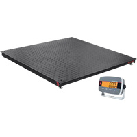Balances de plancher Defender 3000, Capacit&eacute; de 5000 lb, 4' lo x 4' la Planification Entrepots Molloy