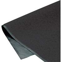 Tapis ColorStar, Essuie-pieds, 3' x 5' x 3/8", Charbon Planification Entrepots Molloy
