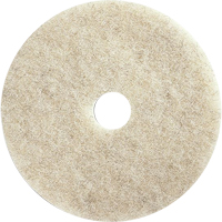 Floor Maintenance Pads, 27.75", Burnishing, Brown Planification Entrepots Molloy