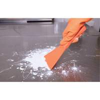 Racloir manuel grand format, Rose, 4" la x 10" lo Planification Entrepots Molloy