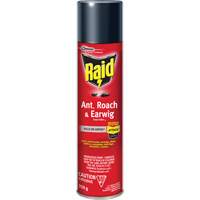 Insecticide contre fourmis, coquerelles et perce-oreilles Raid, 350 g, &agrave; base de solvant Planification Entrepots Molloy