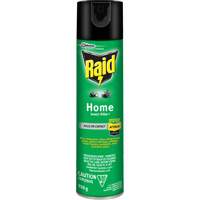 Insecticide pour insectes domestiques Raid, 350 g, &agrave; base de solvant Planification Entrepots Molloy