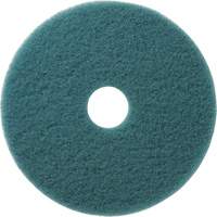 Aqua Floor Pads, 19", Burnishing, Aqua Planification Entrepots Molloy