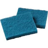 Non-Stick Cookware Cleaning Pad, Scrubbing, 5-1/4" W x 4" L Planification Entrepots Molloy
