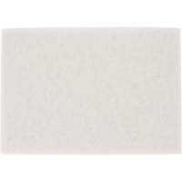 Tampon pour planchers TopLine Speed, 14" x 20", Lustrage/Nettoyage/Polissage, Blanc Planification Entrepots Molloy