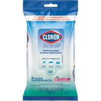 Disinfecting Wipes On the Go, 15 Count Planification Entrepots Molloy
