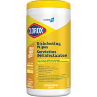 Disinfecting Wipes, 75 Count Planification Entrepots Molloy