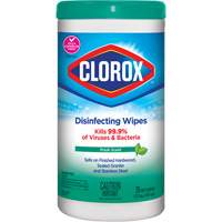 Disinfecting Wipes, 75 Count Planification Entrepots Molloy