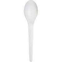 Plantware Renewable and Compostable Spoon Planification Entrepots Molloy