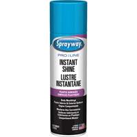 Brillant instantan&eacute; Pro Line pour surfaces en plastique, 11 oz, Canette a&eacute;rosol Planification Entrepots Molloy