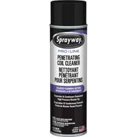 Nettoyant p&eacute;n&eacute;trant pour bobines Pro Line &agrave; action moussante diff&eacute;r&eacute;e, 19 oz., Canette a&eacute;rosol Planification Entrepots Molloy