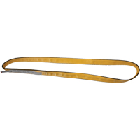 &eacute;lingues de levage en polyester, Pli Simple, Sans fin, Type 5, 3" la x 3' lo, Capacit&eacute; verticale 9400 lb Planification Entrepots Molloy