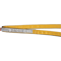 &eacute;lingues de levage en polyester, Pli Simple, Sans fin, Type 5, 3" la x 3' lo, Capacit&eacute; verticale 9400 lb Planification Entrepots Molloy