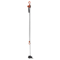 Mini Lever Hoist, 15' Lift, 500 lbs. (0.25 tons) Capacity, Steel Chain Planification Entrepots Molloy