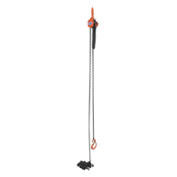 Mini Lever Hoist, 15' Lift, 1000 lbs. (0.5 tons) Capacity, Steel Chain Planification Entrepots Molloy