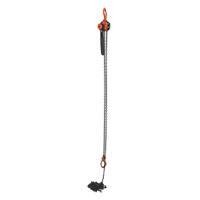 Mini Lever Hoist, 15' Lift, 1000 lbs. (0.5 tons) Capacity, Steel Chain Planification Entrepots Molloy