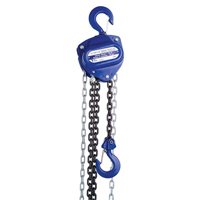 Chain Hoist, 10' Lift, 2000 lbs. (1 tons) Capacity, Load Chain Grade 80 Chain Planification Entrepots Molloy