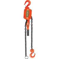 Lever Hoist, 5' Lift, 1500 lbs. (0.75 tons) Capacity, Alloy Steel Chain Planification Entrepots Molloy