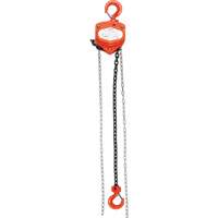Chain Hoist, 20' Lift, 1000 lbs. (0.45 tons) Capacity, Alloy Steel Chain Planification Entrepots Molloy