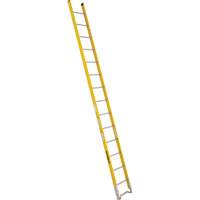 Single Section Straight Ladder - 6100 Series, 14', Fibreglass, 375 lbs., CSA Grade 1AA Planification Entrepots Molloy