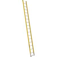 Single Section Straight Ladder - 6100 Series, 16', Fibreglass, 375 lbs., CSA Grade 1AA Planification Entrepots Molloy