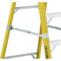 Industrial Heavy-Duty Platform Stepladders (6500 Series), 6', 300 lbs. Cap. Planification Entrepots Molloy