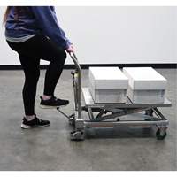 Hydraulic Scissor Lift Table, 31-1/2" L x 19-1/2" W, Stainless Steel, 550 lbs. Capacity Planification Entrepots Molloy