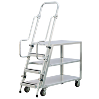 Aluminum Stock Picking Ladder Cart, Aluminum, 22" W x 51-1/2" D, 3 Shelves, 800 lbs. Capacity Planification Entrepots Molloy