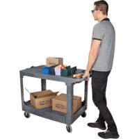 Chariot utilitaire pour l'entretien avec tablette plate, 2 tiers, 25-1/4" x 32-1/4" x 44", Capacit&eacute; 550 lb Planification Entrepots Molloy
