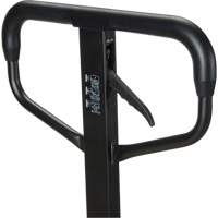 Transpalette manuel Quick-Lift, Acier, 48" lo x 20,5" la, Capacit&eacute; 5500 lb Planification Entrepots Molloy