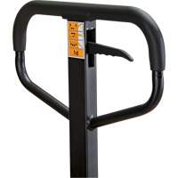 Transpalette manuel, Acier, 48" lo x 21" la, Capacit&eacute; 5500 lb Planification Entrepots Molloy