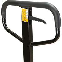 Transpalette manuel, Acier, 48" lo x 27" la, Capacit&eacute; 5500 lb Planification Entrepots Molloy