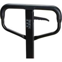 Transpalette &agrave; roues en acier, Acier, 48" lo x 27" la, Capacit&eacute; 5500 lb Planification Entrepots Molloy