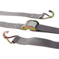 Ratchet Strap, Cam Buckle, 2" W x 16' L, 500 lbs. (227 kg) WLL Planification Entrepots Molloy