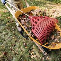 Leaf Rake, 24" Blade, Wood Handle, Plastic Blade Planification Entrepots Molloy