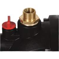 Pompe de jardin sans fil AQUINNA (outil seulement), 36 V, 792 gal./h Planification Entrepots Molloy