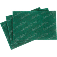 Tampons manuels Scotch-Brite, 9" lo x 6" la Planification Entrepots Molloy