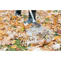 Pro Fan Rake, 24" Blade, 22 Tines, Hardwood Handle, Steel Blade Planification Entrepots Molloy