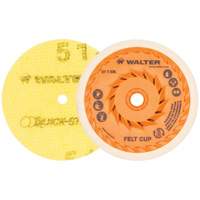 Quick-Step Instant Polish Discs, 5" Dia. Planification Entrepots Molloy