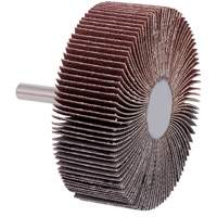 Roue &agrave; lamelles mont&eacute;e sur tige, Grain 60, 3" x 1" x 1/4" Planification Entrepots Molloy