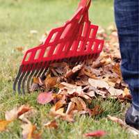 Multi-Purpose Lawn Rake, 20" Blade, 20 Tines, Hardwood Handle, Steel Blade Planification Entrepots Molloy