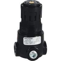Wilkerson Miniature Regulator R03, 1/8" NPT, 300 psi Max. PSI, Standard Planification Entrepots Molloy
