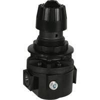 Wilkerson Regulator R26, 3/8" NPT, 300 psi Max. PSI, Standard Planification Entrepots Molloy