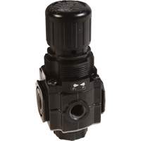 Series 1 Manifold Regulator, 1/4" NPT, 150 PSI Max. PSI, Standard Planification Entrepots Molloy