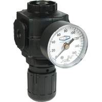 Series 1 Compact Regulator, 1/2" NPT, 150 PSI Max. PSI, Standard Planification Entrepots Molloy